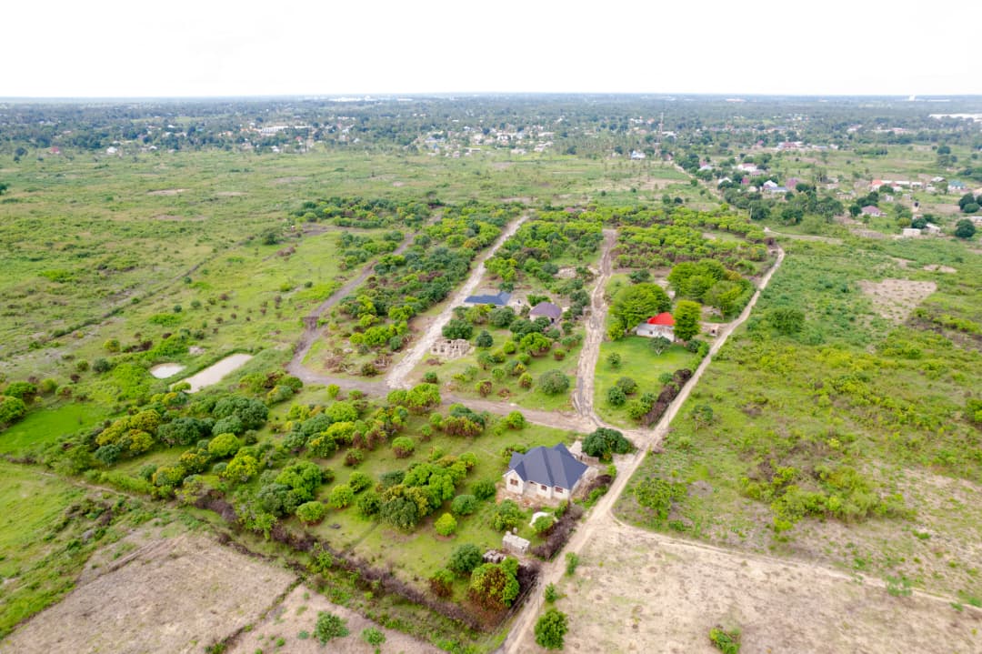 Ras Bamba Eco Village